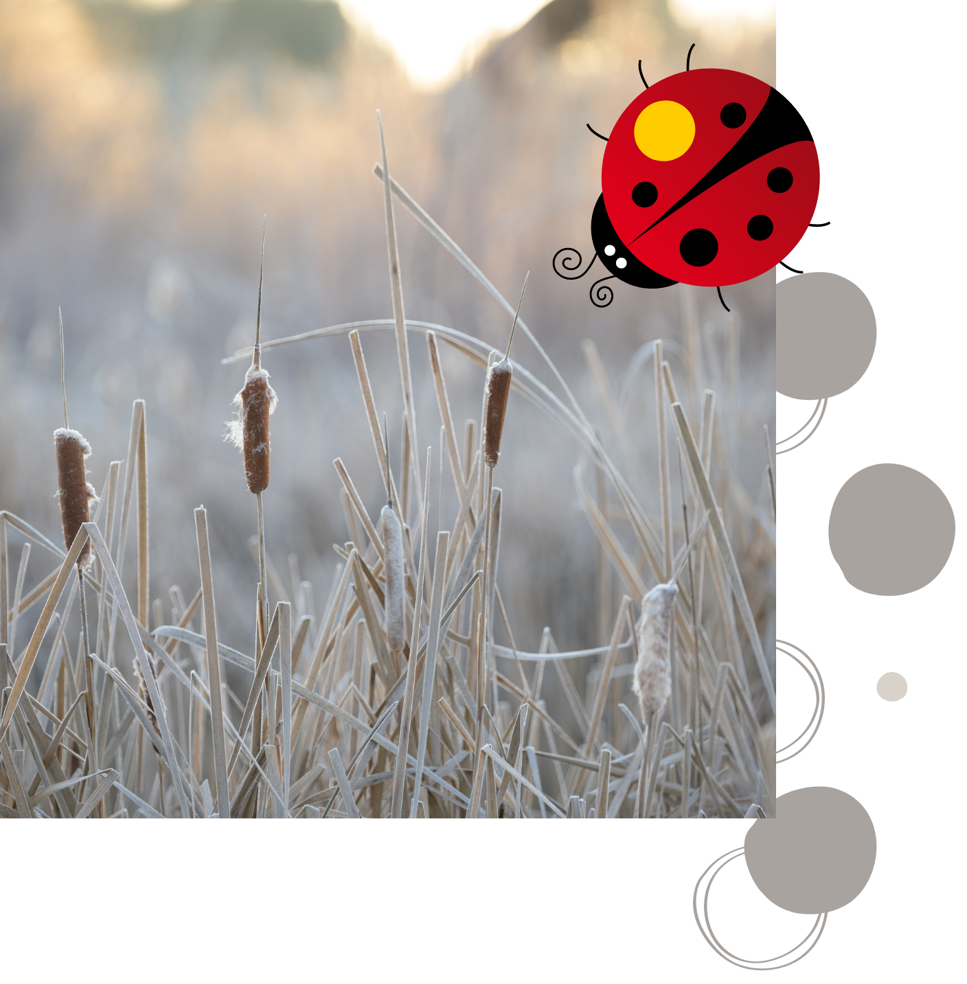 accompagnement pour construire son identité de marque avec Osez Percer