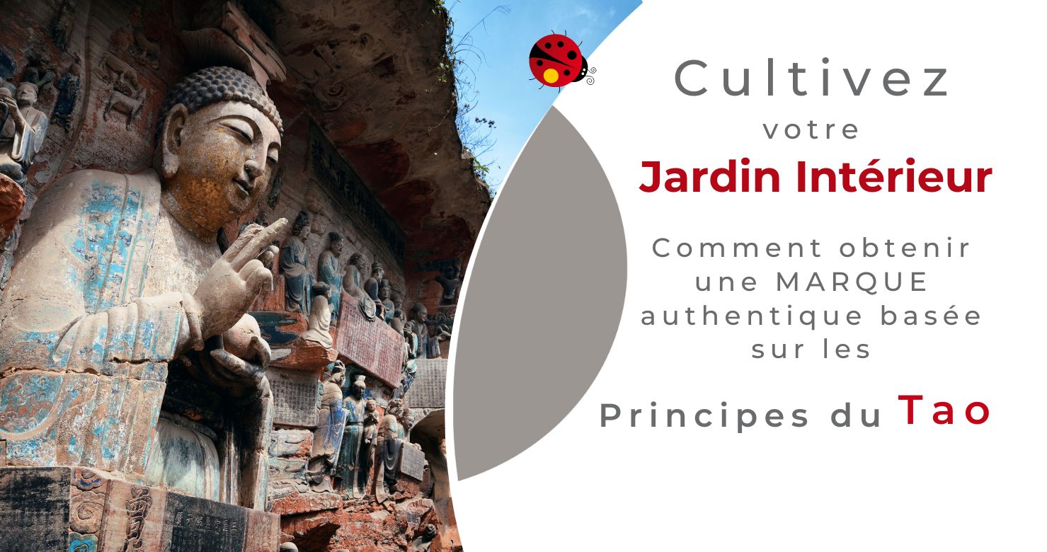 Atelier offert par Osez Percer Impact durable : Découvrez l’art de la Narration Lente