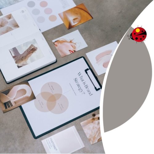 Dans un environnement où la concurrence est en perpétuelle évolution, comment s'affirmer en tant que Praticien Bien-être ?