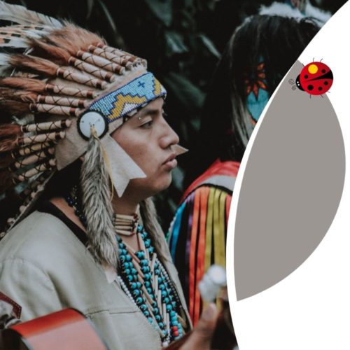 Imaginez captiver votre audience avec des histoires qui se déploient graduellement, créant des liens émotionnels puissants et durables.