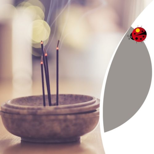 Imaginez un espace en ligne où chaque élément est en parfaite résonance, où vos visiteurs ressentent immédiatement un sentiment de bien-être et de connexion