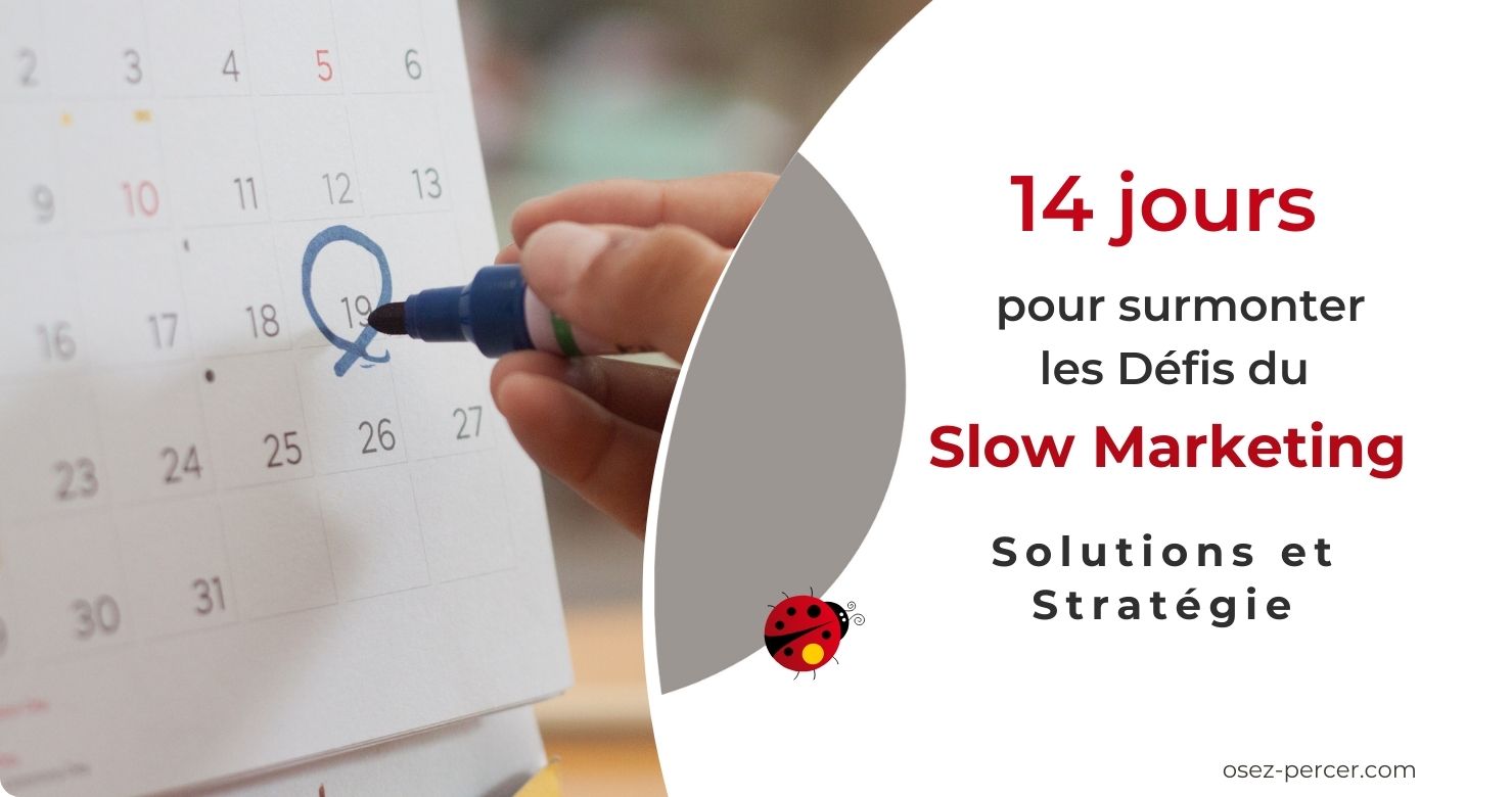 Cet atelier est idéal pour vous si vous avez déjà senti que vos efforts de marketing s'apparentaient à faire du surplace